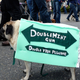 Illustration for article titled Highlights From "Puglandia," Oregon's Annual Pug Crawl